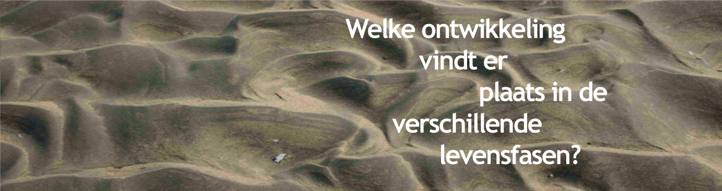 HOME-banner-NEDERLANDS-6