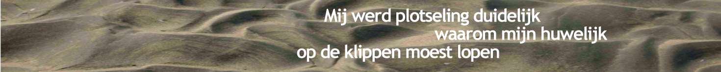 INDIVIDUEEL-banner-NEDERLANDS