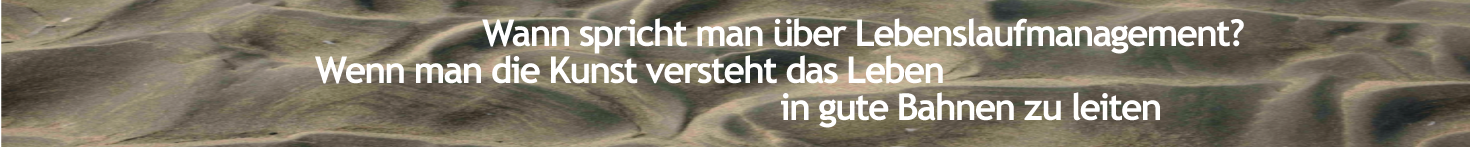 LEBENSLAUF-MANAGEMENT-banner-DEUTSCH