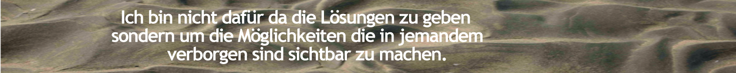 UBER-INEKE-banner-DEUTSCH